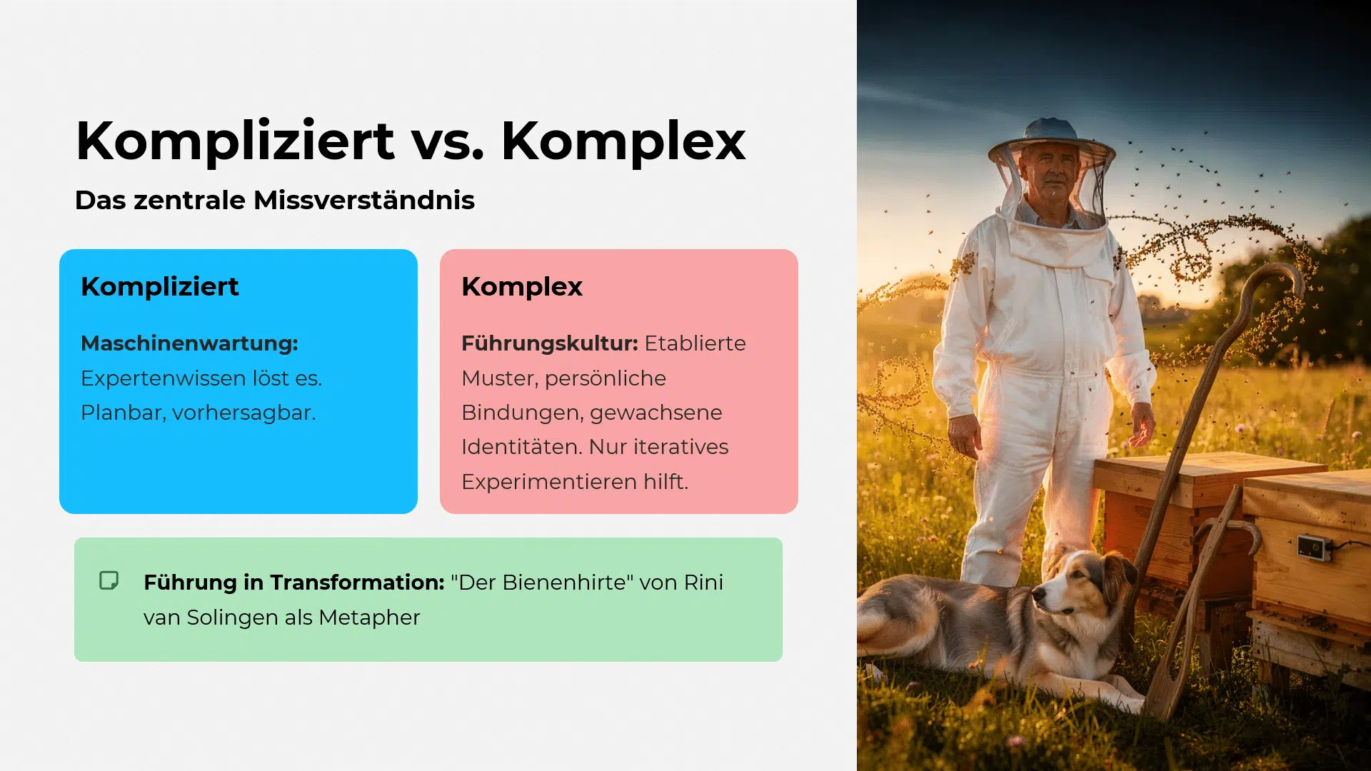 Die Metapher des Bienenhirten in KMUs